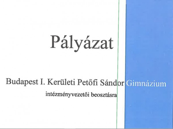 Török Csaba intézményvezetői pályázata